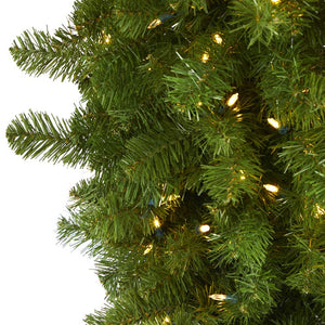 T1430 Holiday/Christmas/Christmas Trees