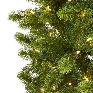 T1492 Holiday/Christmas/Christmas Trees
