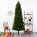 T1492 Holiday/Christmas/Christmas Trees
