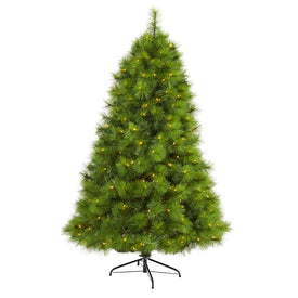 6.5' Green Scotch Pine Artificial Christmas Tree with 350 Clear LED Lights