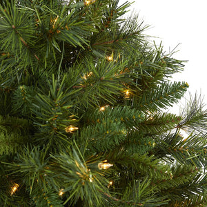 T1927 Holiday/Christmas/Christmas Trees