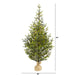 T1865 Holiday/Christmas/Christmas Trees