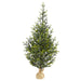 T1865 Holiday/Christmas/Christmas Trees