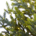T1865 Holiday/Christmas/Christmas Trees