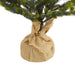 T1865 Holiday/Christmas/Christmas Trees