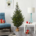 T1865 Holiday/Christmas/Christmas Trees