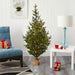T1865 Holiday/Christmas/Christmas Trees