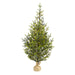 T1865 Holiday/Christmas/Christmas Trees