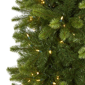T1493 Holiday/Christmas/Christmas Trees