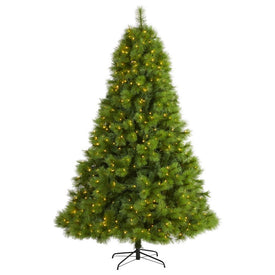 7.5' Green Scotch Pine Artificial Christmas Tree with 550 Clear LED Lights