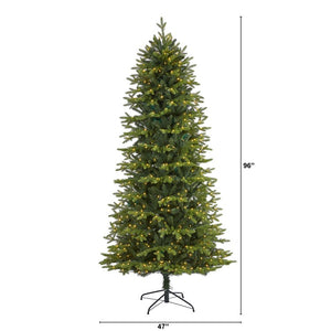 T1648 Holiday/Christmas/Christmas Trees
