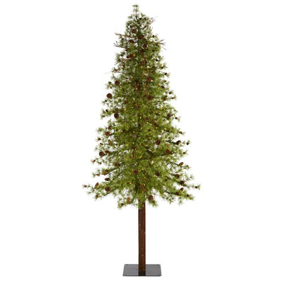 Product Image: T1431 Holiday/Christmas/Christmas Trees