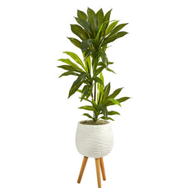 46" Dracaena Artificial Plant in White Planter with Stand (Real Touch