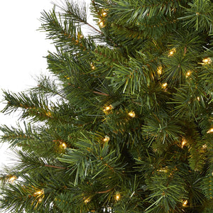 T1928 Holiday/Christmas/Christmas Trees
