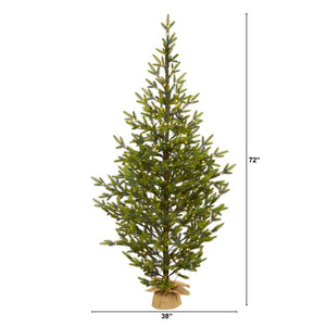 T1990 Holiday/Christmas/Christmas Trees