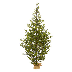 T1990 Holiday/Christmas/Christmas Trees