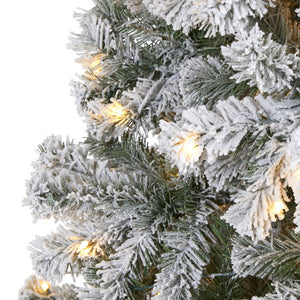 T1742 Holiday/Christmas/Christmas Trees