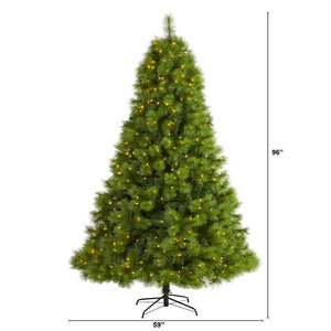 T1618 Holiday/Christmas/Christmas Trees