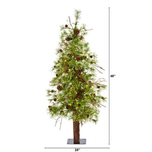 T1432 Holiday/Christmas/Christmas Trees