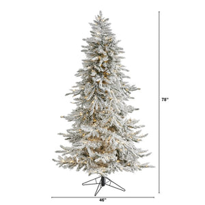 T1494 Holiday/Christmas/Christmas Trees