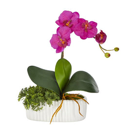13" Mini Orchid Phalaenopsis Artificial Arrangement in White Vase