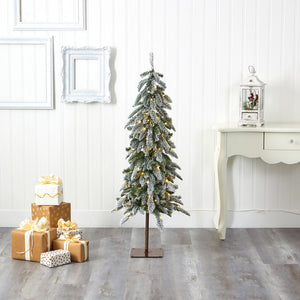 T1960 Holiday/Christmas/Christmas Trees