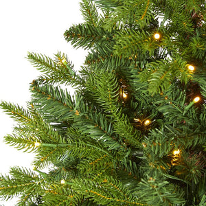 T1991 Holiday/Christmas/Christmas Trees