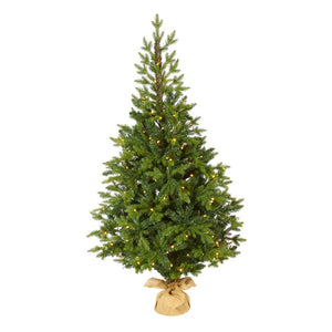 T1991 Holiday/Christmas/Christmas Trees
