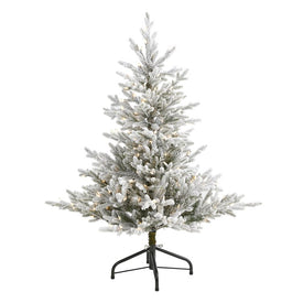 4' Flocked Fraser Fir Artificial Christmas Tree with 300 Warm White Lights and 967 Bendable Branches