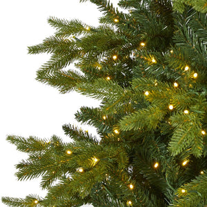 T1650 Holiday/Christmas/Christmas Trees