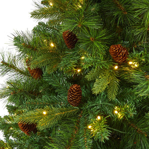 T1681 Holiday/Christmas/Christmas Trees