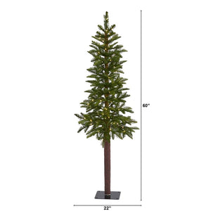 T1464 Holiday/Christmas/Christmas Trees