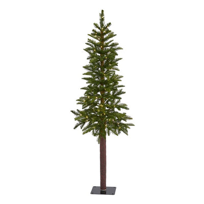 Product Image: T1464 Holiday/Christmas/Christmas Trees