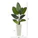 T1309 Decor/Faux Florals/Plants & Trees