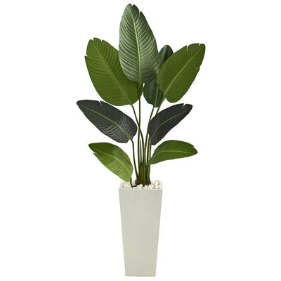 Product Image: T1309 Decor/Faux Florals/Plants & Trees
