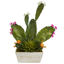 24" Mixed Cactus Succulent Artificial Plant in White Wash Planter