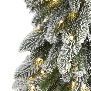 T1961 Holiday/Christmas/Christmas Trees