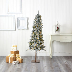 T1961 Holiday/Christmas/Christmas Trees