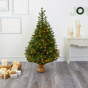 T1992 Holiday/Christmas/Christmas Trees