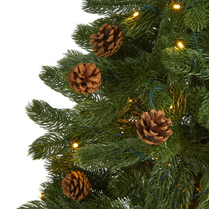 T1775 Holiday/Christmas/Christmas Trees