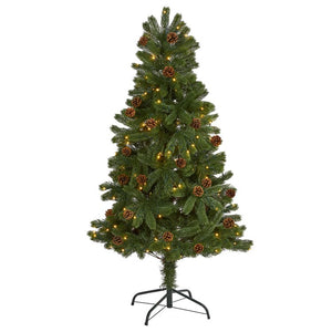 T1775 Holiday/Christmas/Christmas Trees