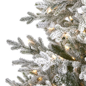 T1868 Holiday/Christmas/Christmas Trees