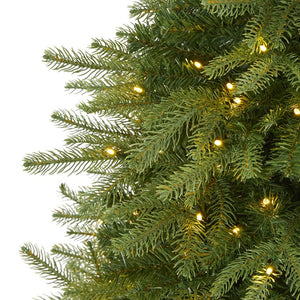 T1651 Holiday/Christmas/Christmas Trees