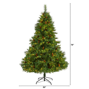 T1682 Holiday/Christmas/Christmas Trees