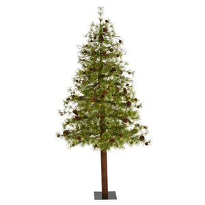 T1434 Holiday/Christmas/Christmas Trees