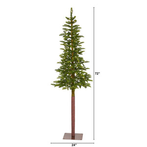 T1465 Holiday/Christmas/Christmas Trees