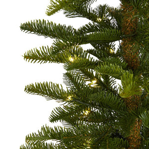 T1465 Holiday/Christmas/Christmas Trees