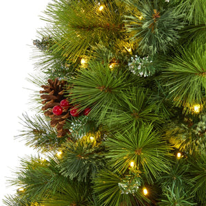 T1620 Holiday/Christmas/Christmas Trees