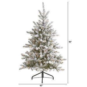 T1900 Holiday/Christmas/Christmas Trees
