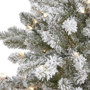 T1900 Holiday/Christmas/Christmas Trees